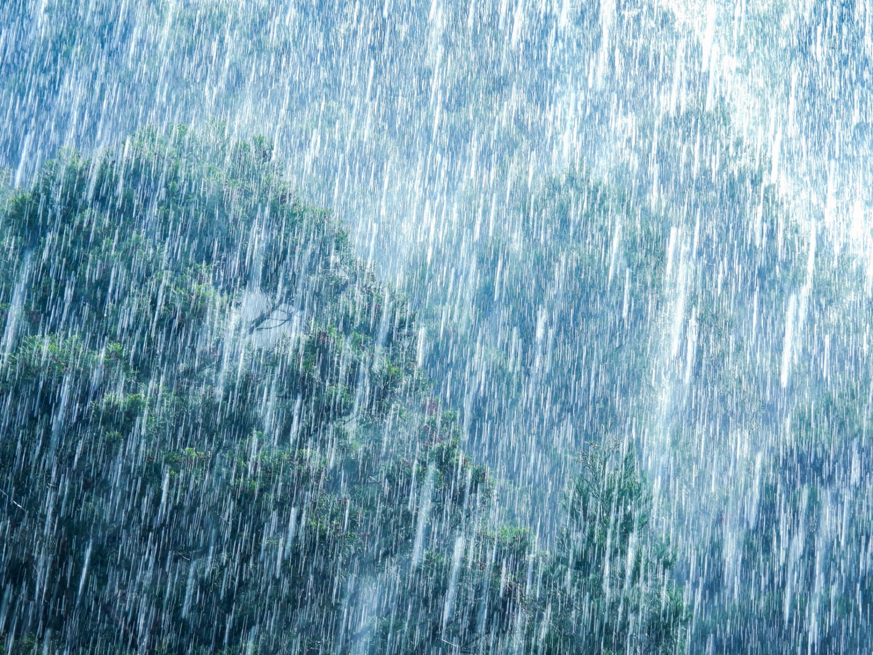 大雨・豪雨災害、いつから備えるべき？ - 気象・検索データから見てみよう -