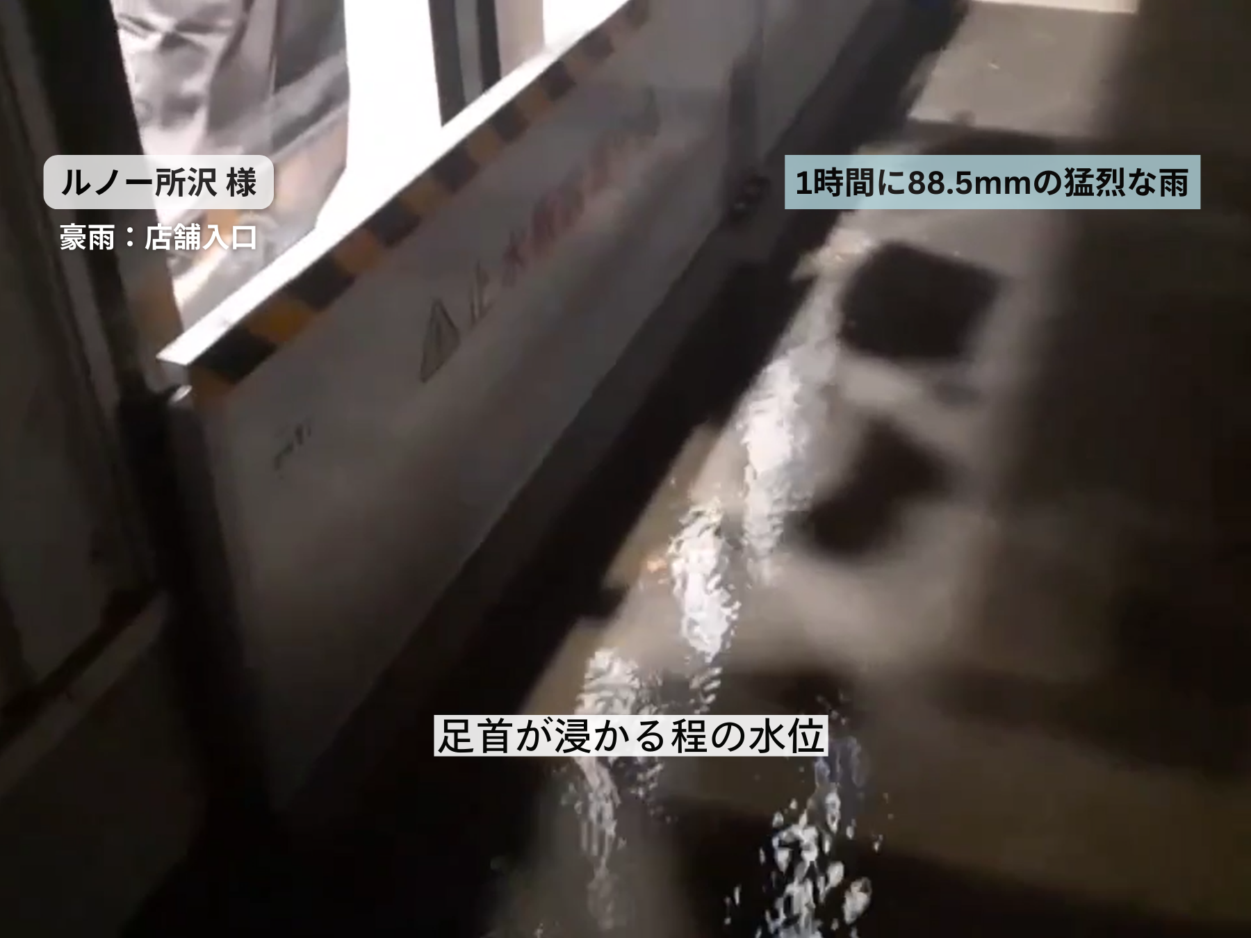 youtube_link