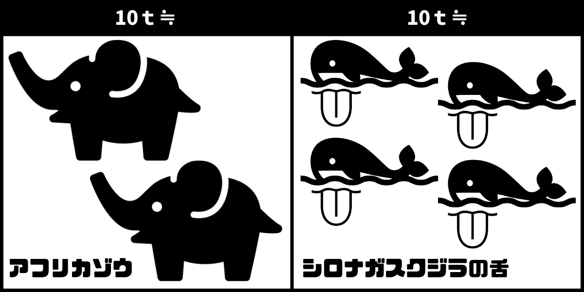 10t≒アフリカゾウ×2頭／シロナガスクジラの舌×4枚