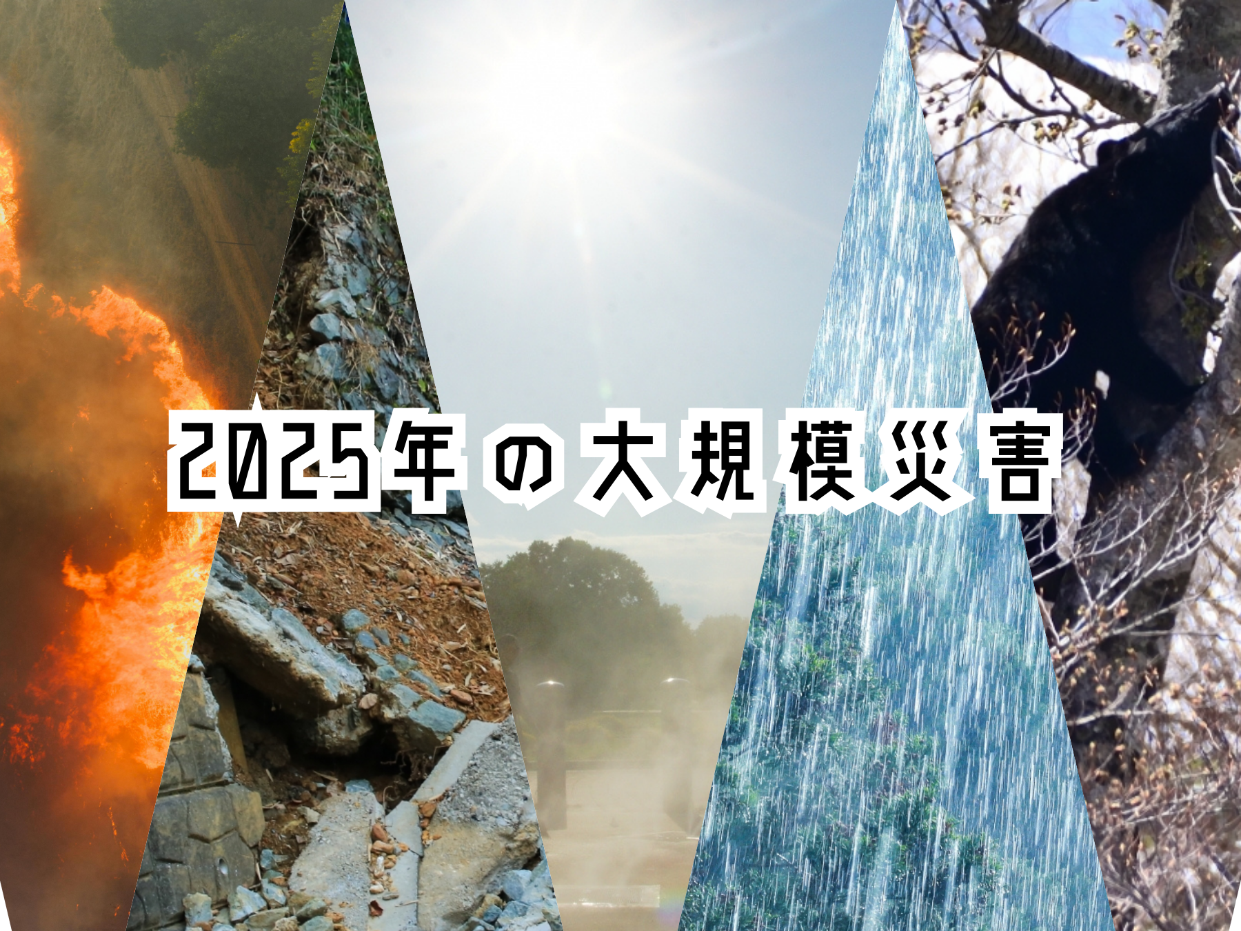 2025年：記憶と記録に残る大規模災害