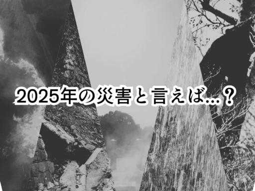 2025年の災害と言えば?…男性は「記録的猛暑」。女性は「熊被害」– 災害&防災に関する意識調査 –